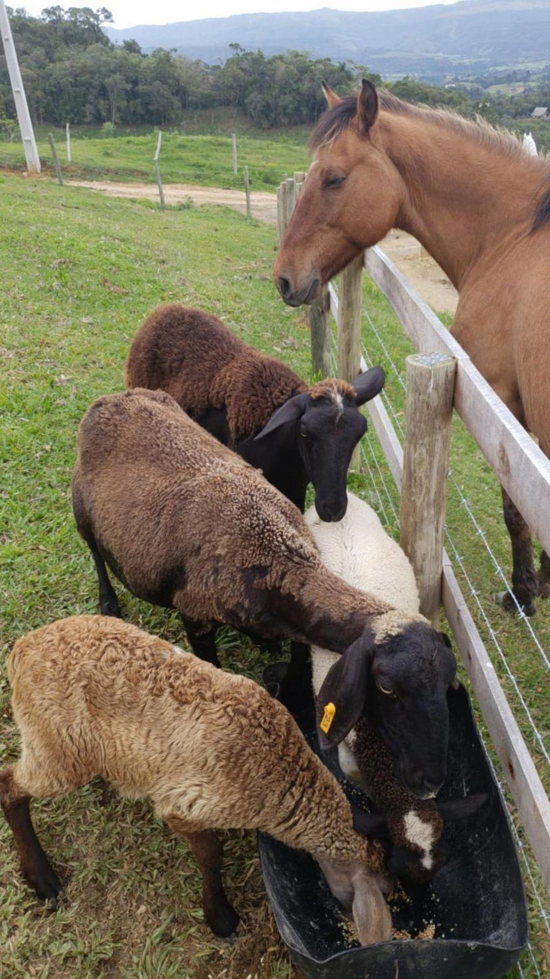 Rancho Sol Poente - Rancho Queimado - Sc Villa Dış mekan fotoğraf