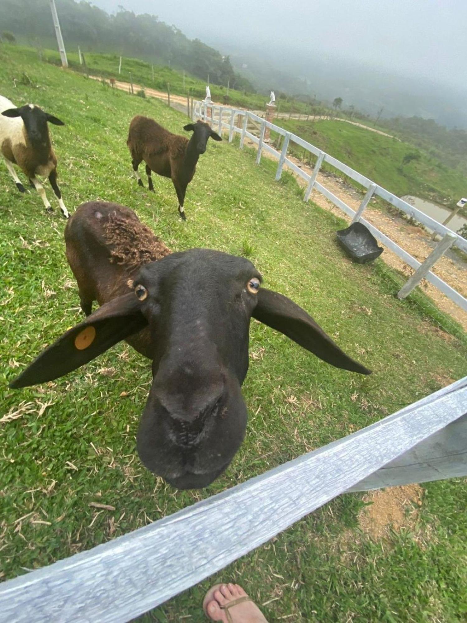 Rancho Sol Poente - Rancho Queimado - Sc Villa Dış mekan fotoğraf