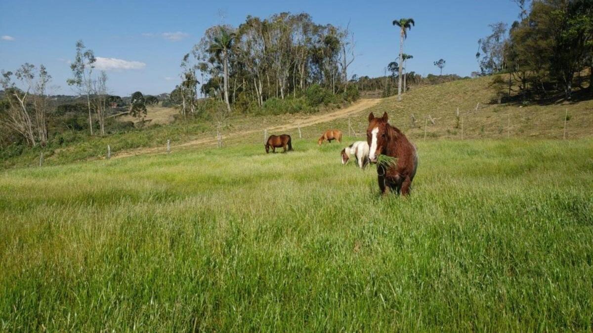 Rancho Sol Poente - Rancho Queimado - Sc Villa Dış mekan fotoğraf