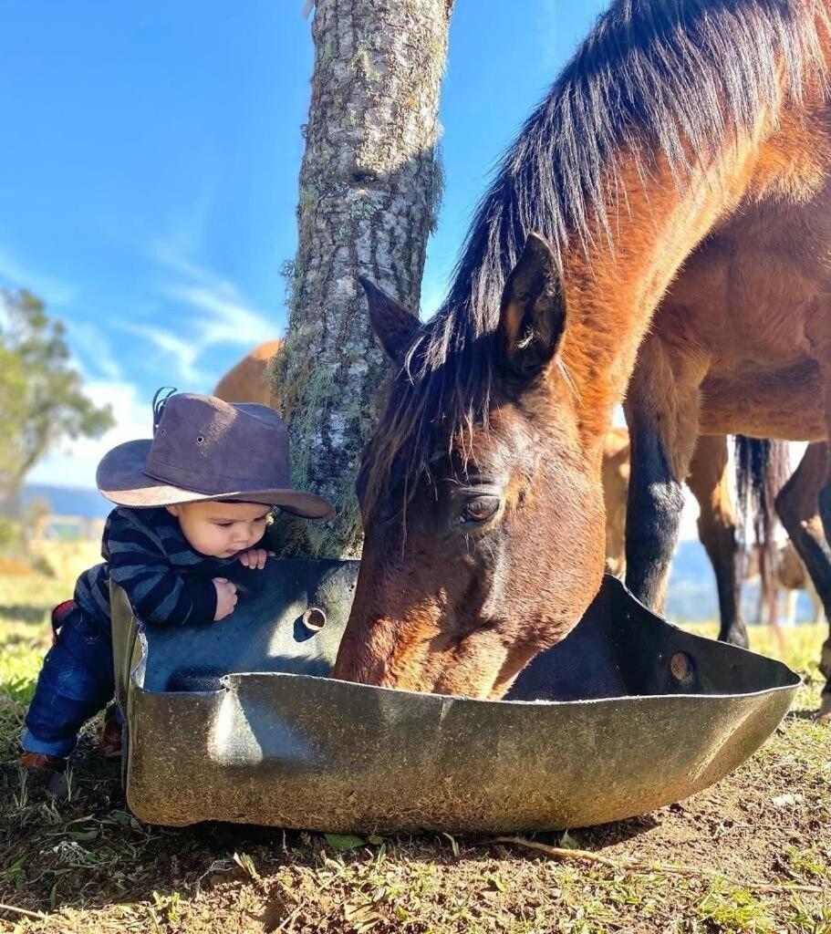 Rancho Sol Poente - Rancho Queimado - Sc Villa Dış mekan fotoğraf