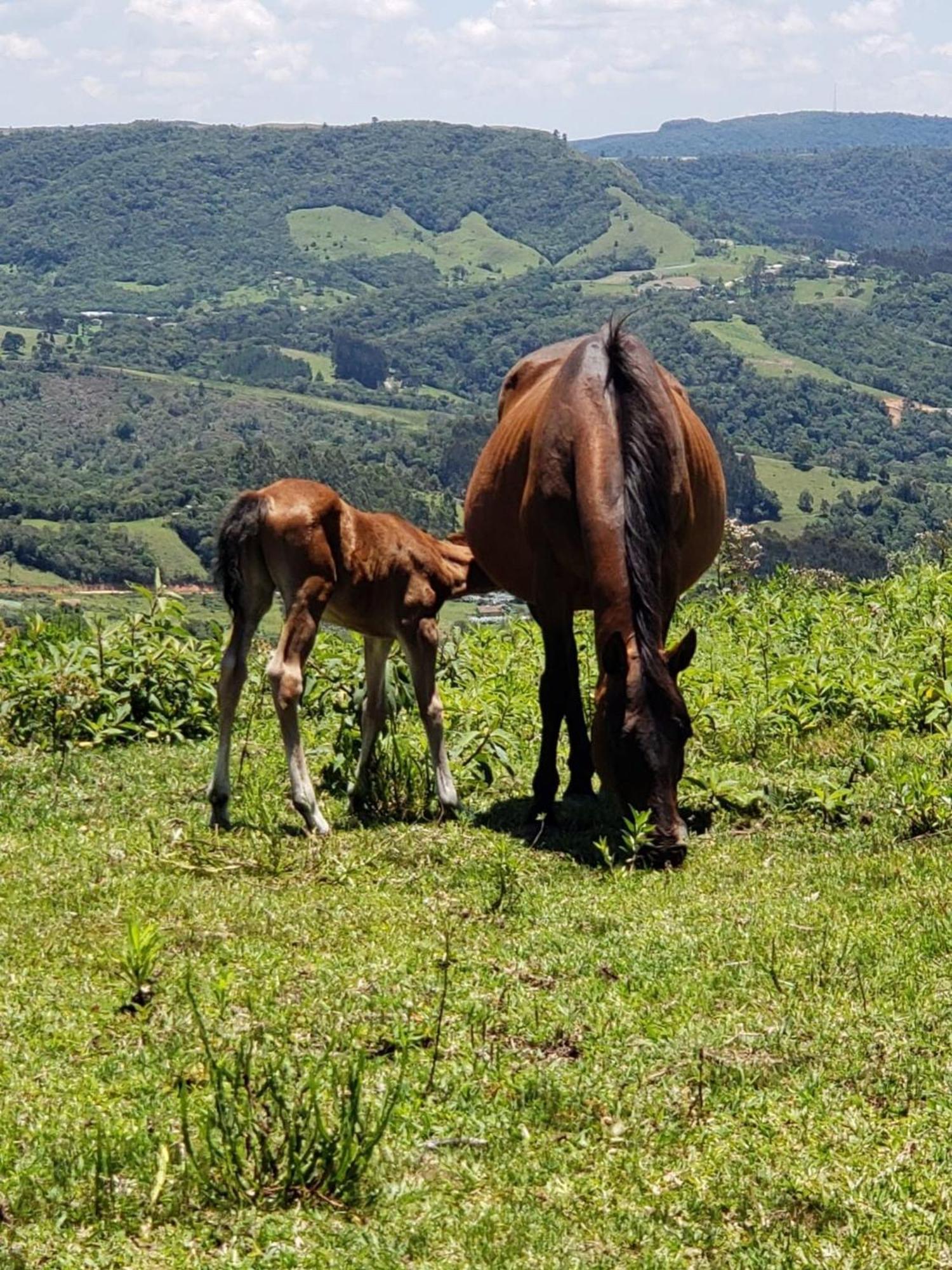 Rancho Sol Poente - Rancho Queimado - Sc Villa Dış mekan fotoğraf